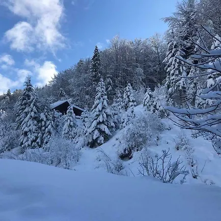 Am Alpbach Tegernsee