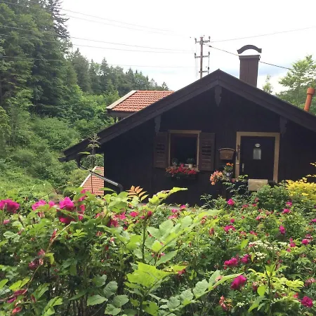 Am Alpbach